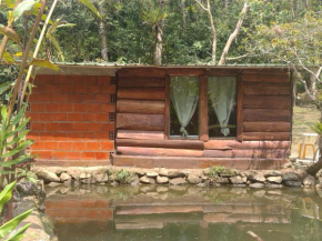 Sapiens house 